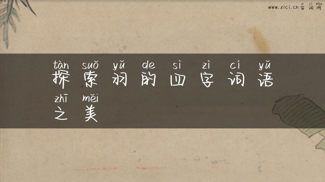 探索羽的四字词语之美