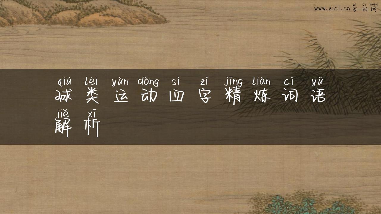 球类运动四字精炼词语解析