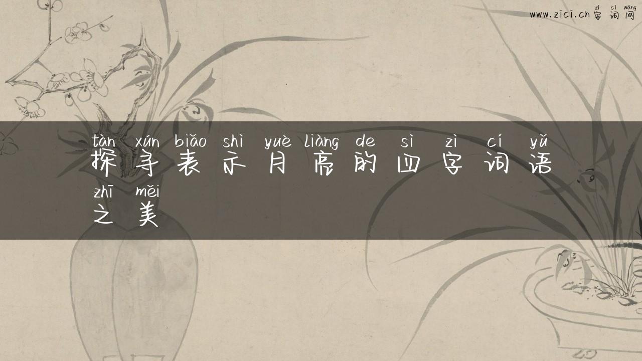 探寻表示月亮的四字词语之美