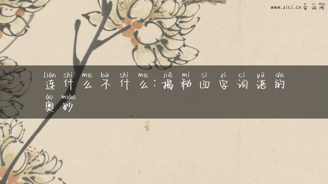 连什么不什么：揭秘四字词语的奥妙