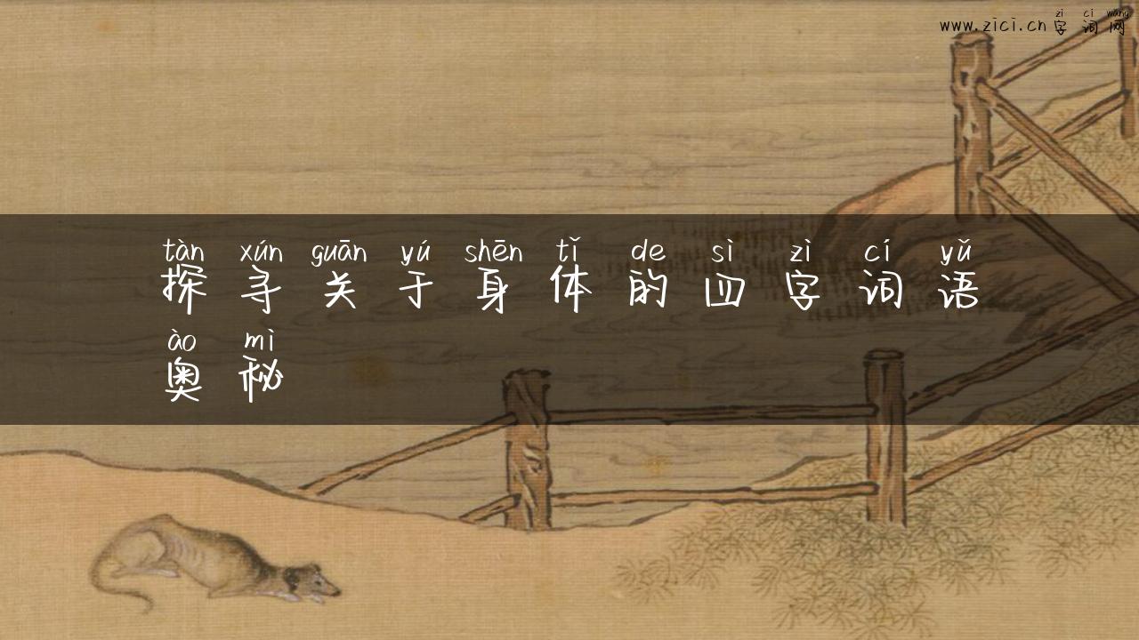 探寻关于身体的四字词语奥秘