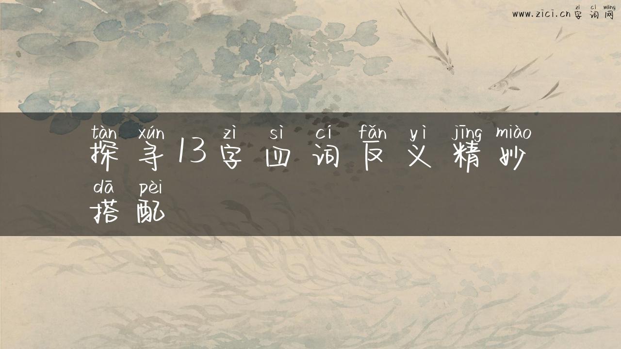 探寻13字四词反义精妙搭配