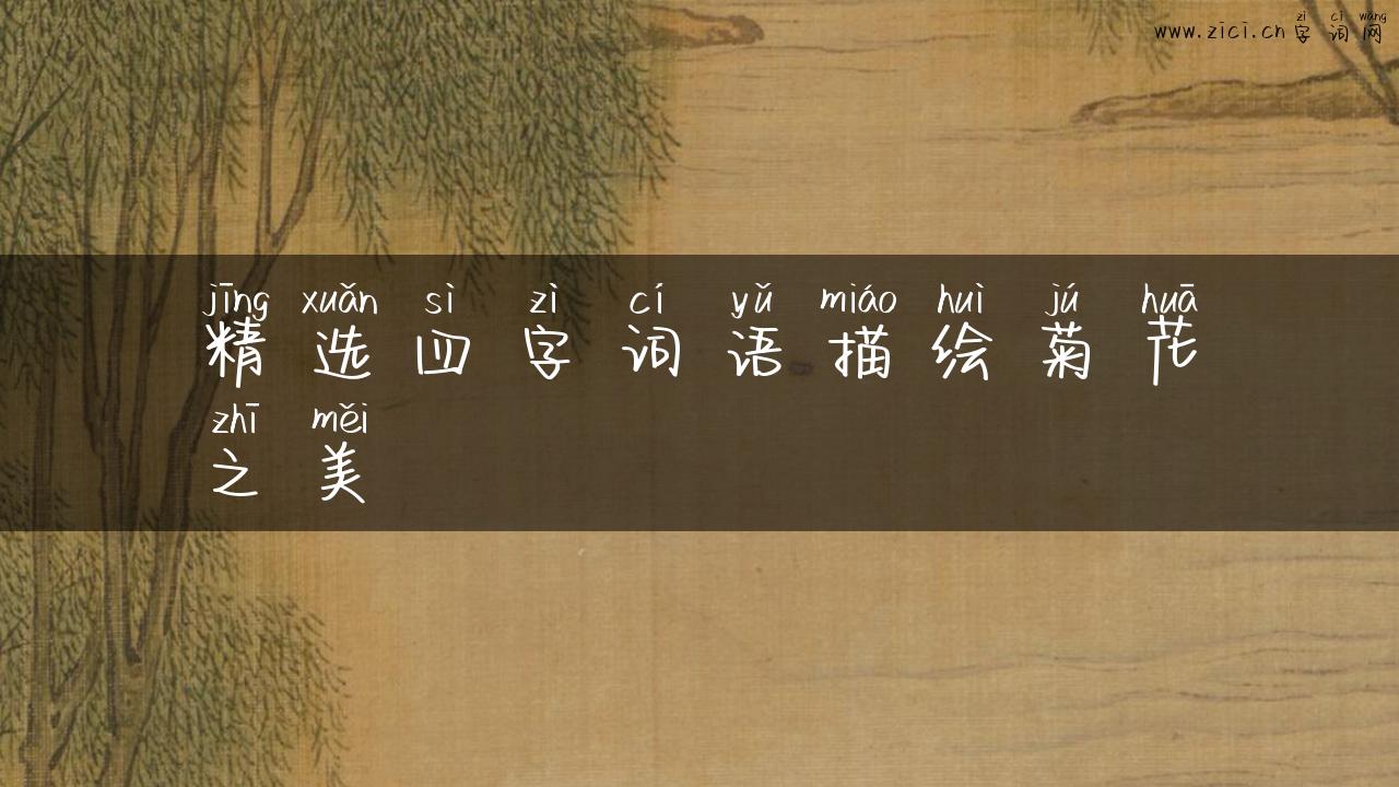精选四字词语描绘菊花之美