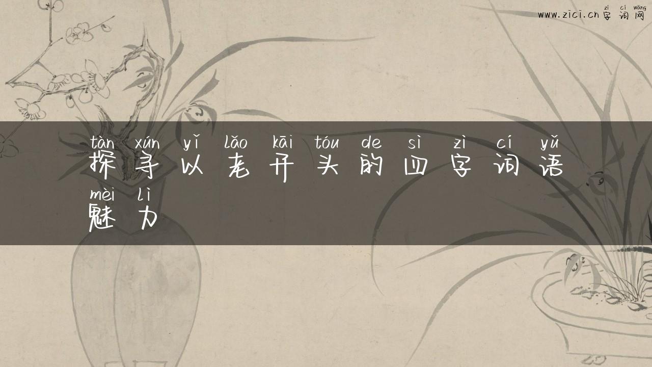 探寻以老开头的四字词语魅力