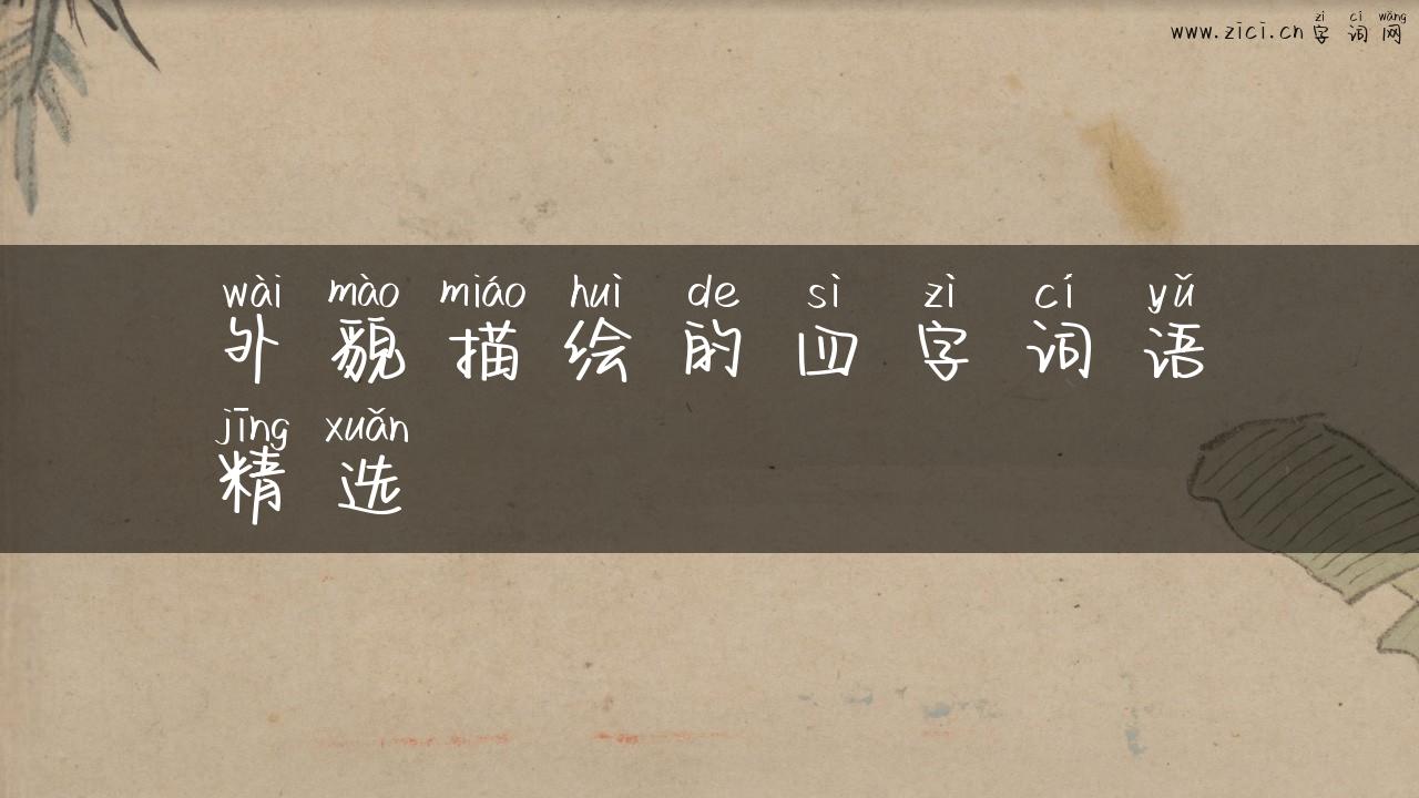 外貌描绘的四字词语精选
