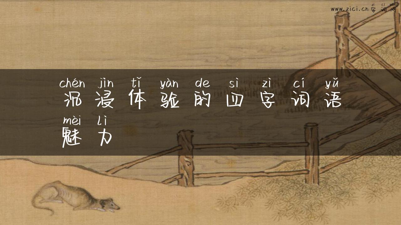 沉浸体验的四字词语魅力