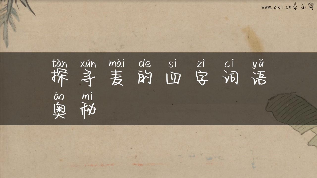 探寻麦的四字词语奥秘