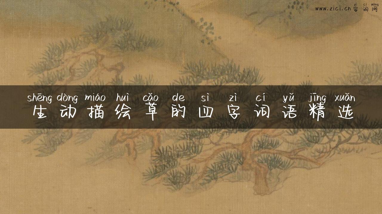 生动描绘草的四字词语精选