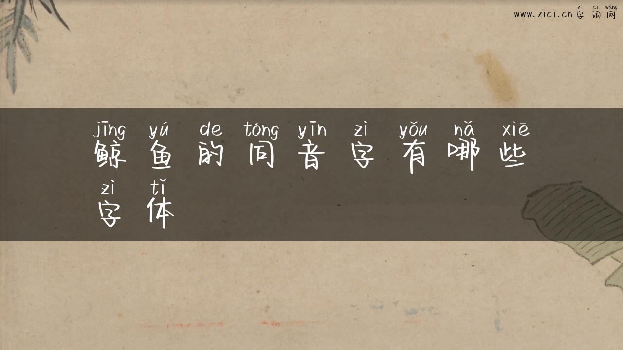 鲸鱼的同音字有哪些字体