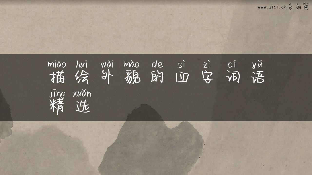 描绘外貌的四字词语精选