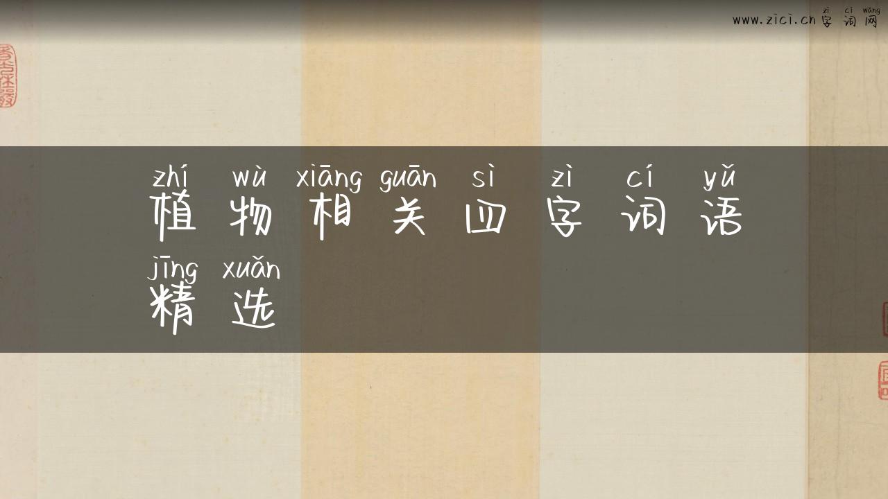 植物相关四字词语精选