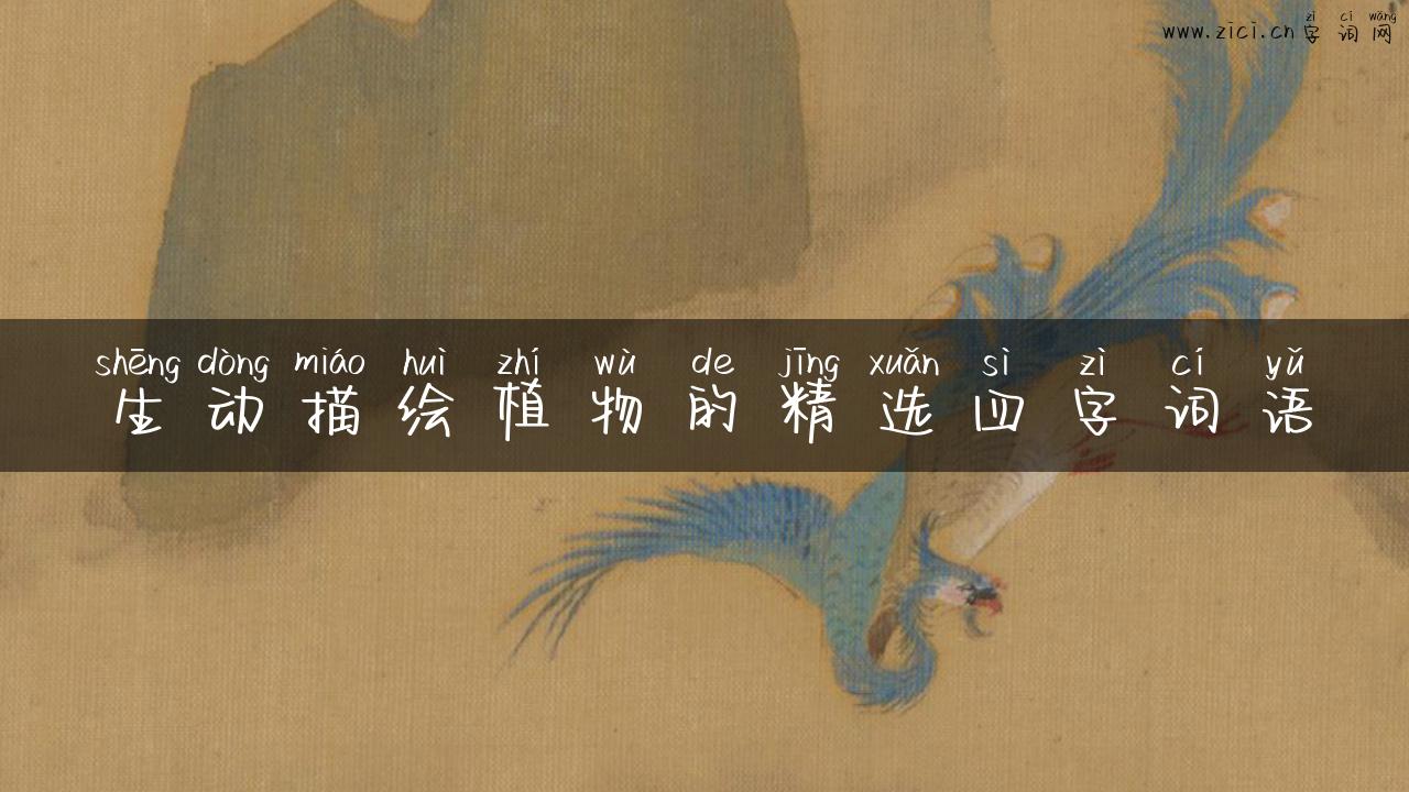 生动描绘植物的精选四字词语