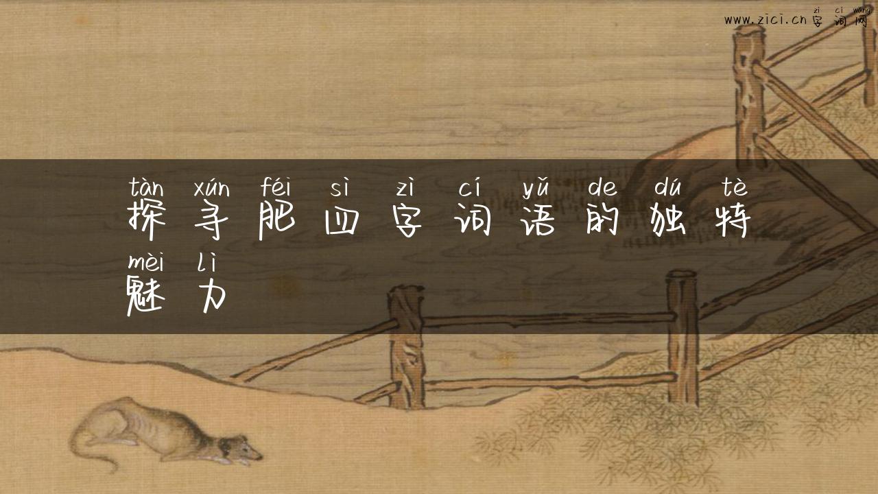 探寻肥四字词语的独特魅力