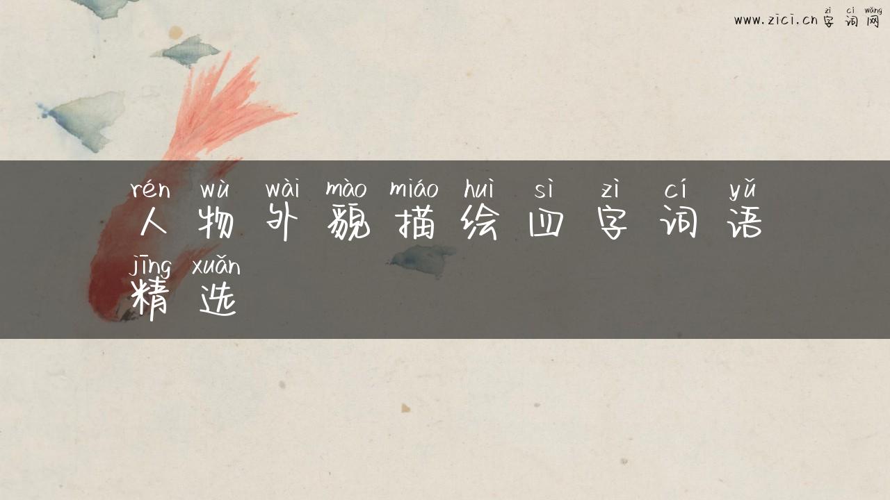 人物外貌描绘四字词语精选