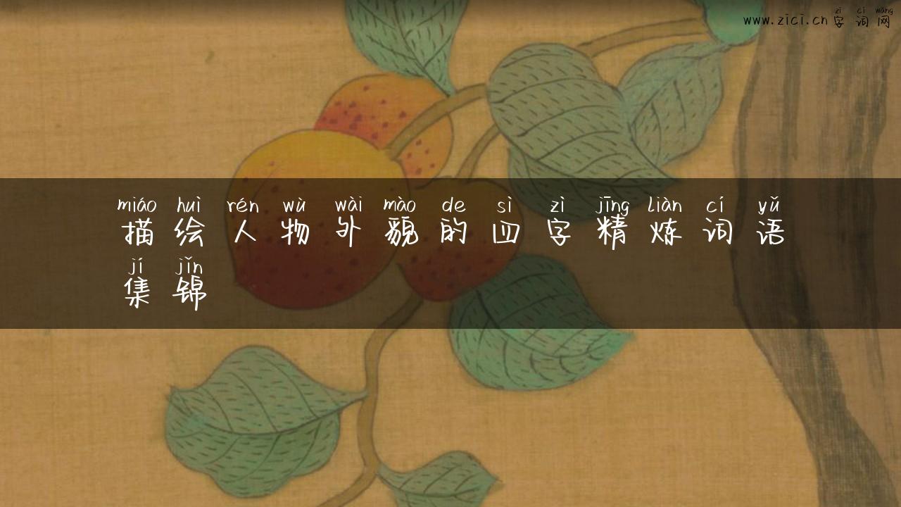 描绘人物外貌的四字精炼词语集锦