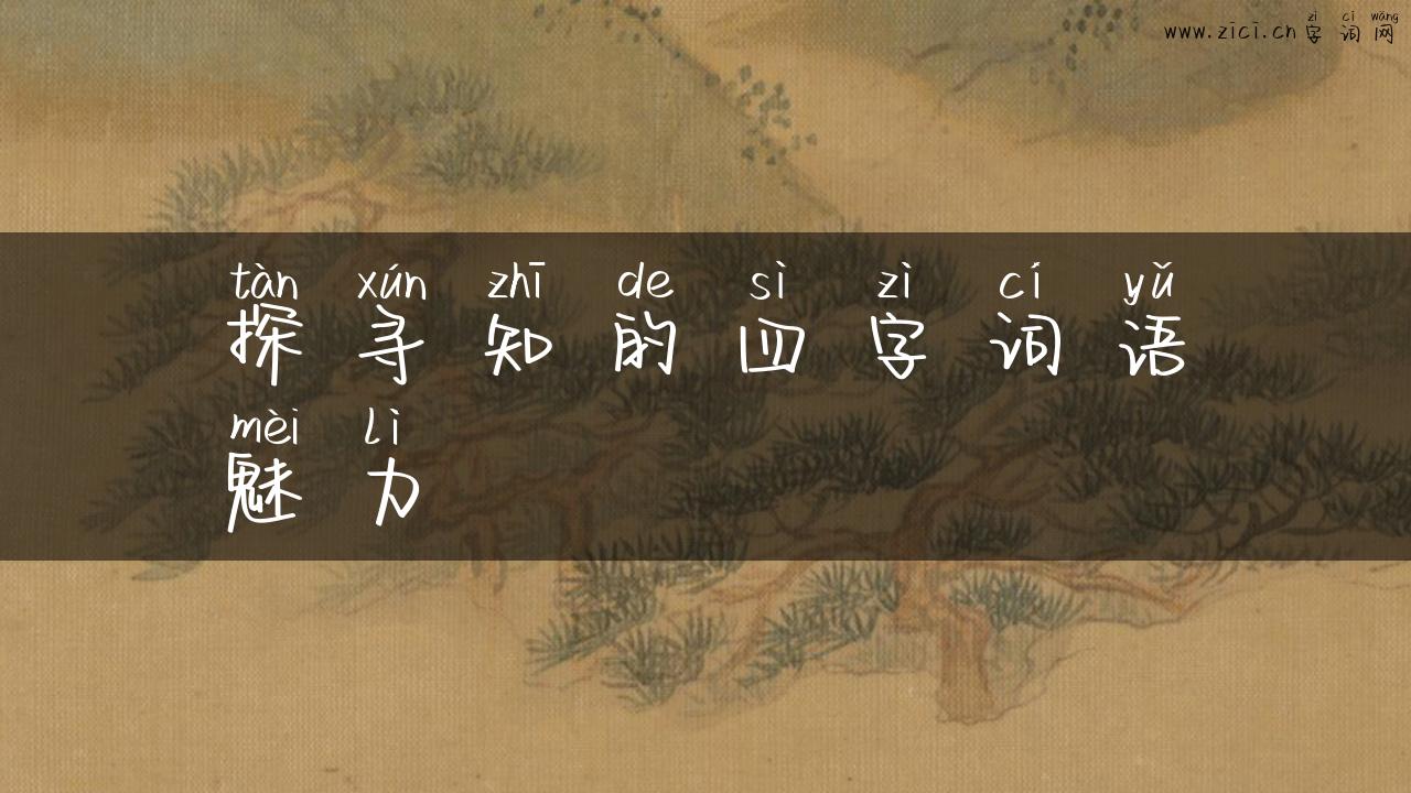 探寻知的四字词语魅力