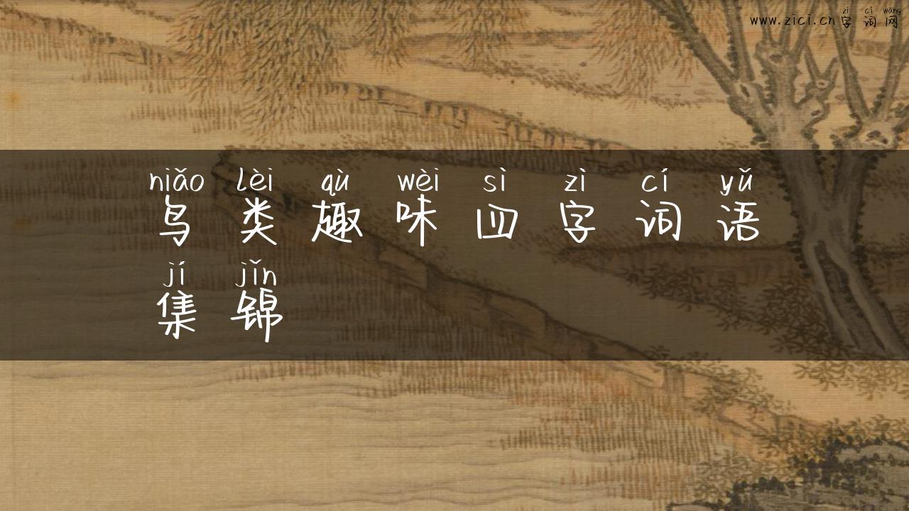 鸟类趣味四字词语集锦