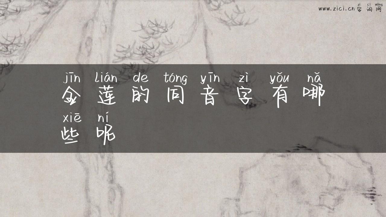 金莲的同音字有哪些呢