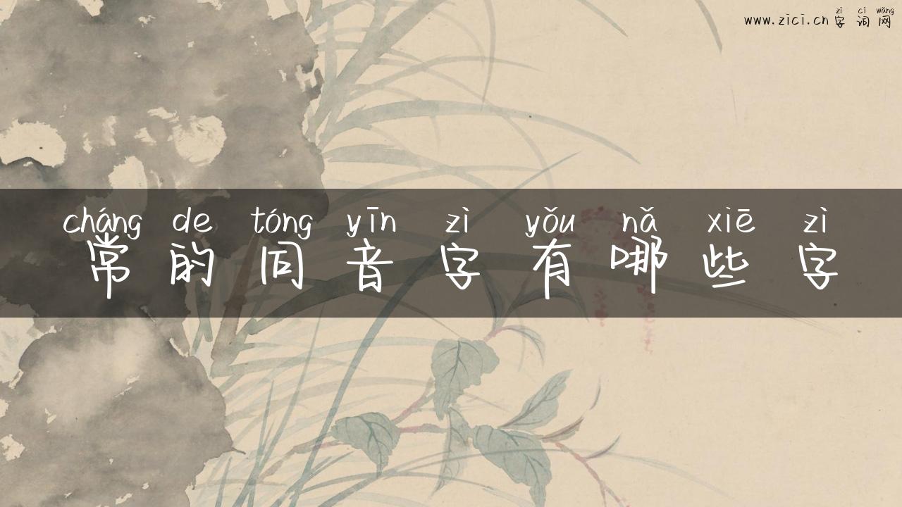 常的同音字有哪些字