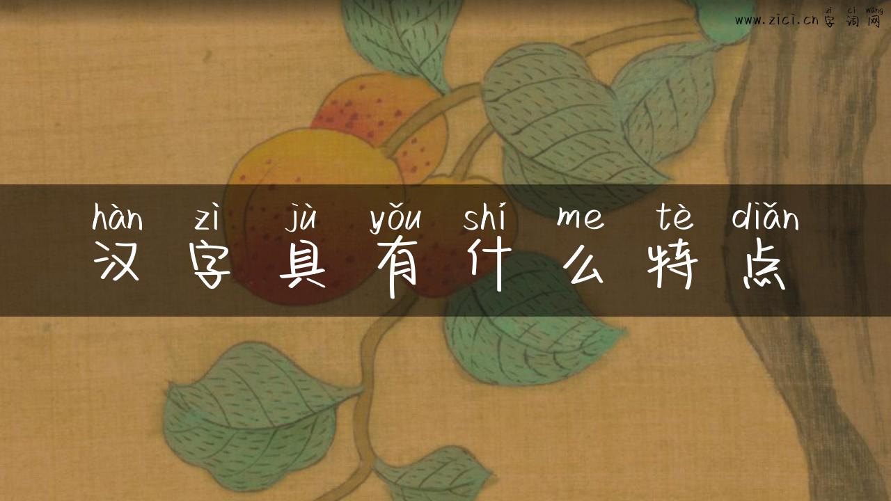 汉字具有什么特点