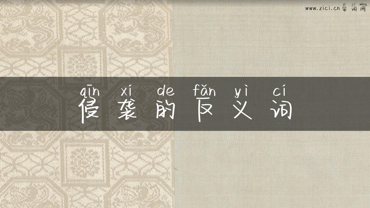 侵袭的反义词
