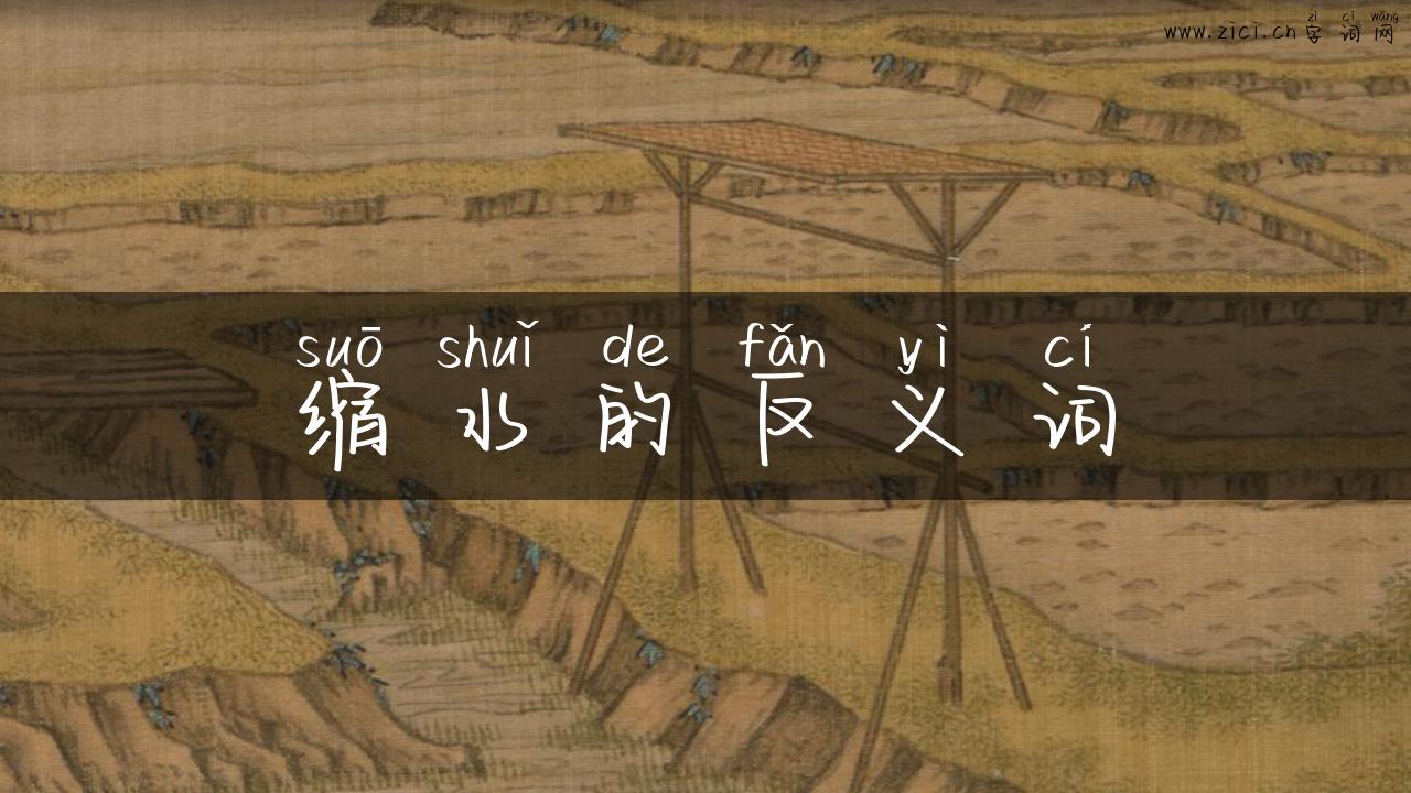 缩水的反义词