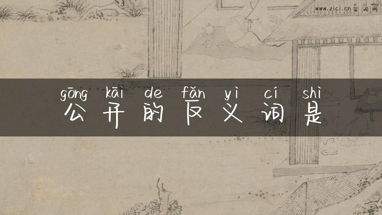 公开的反义词是