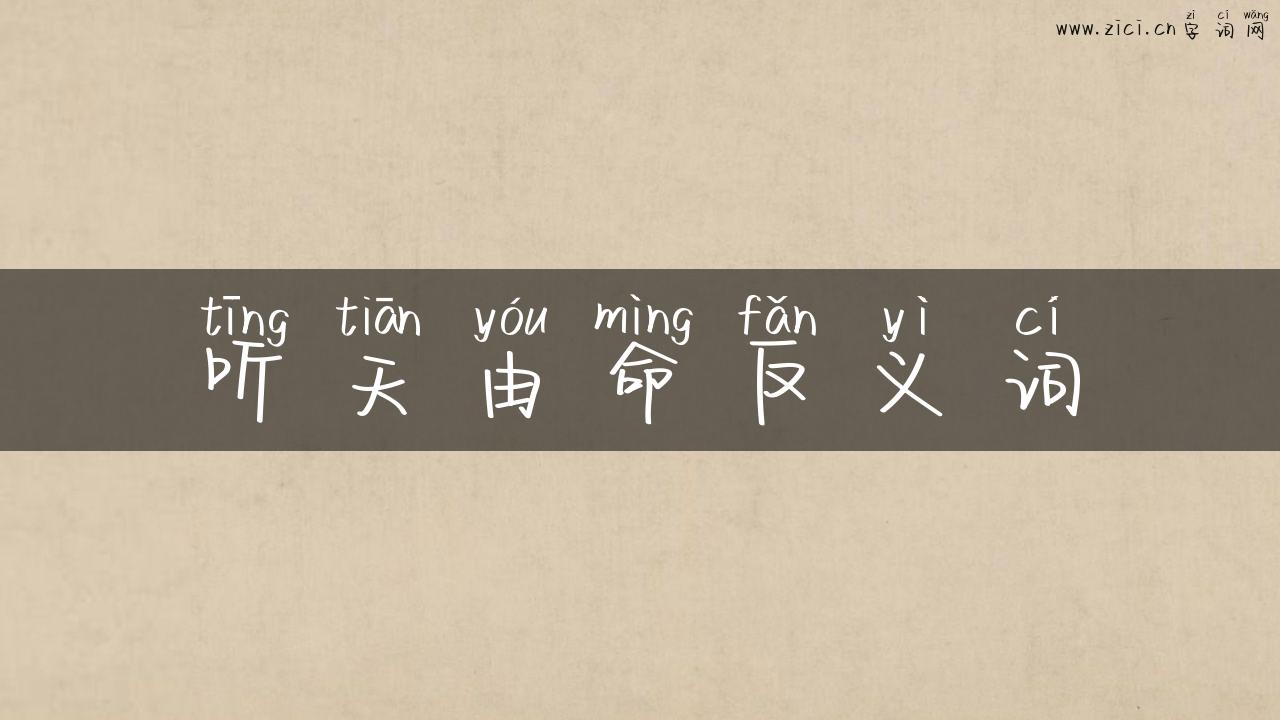 听天由命反义词