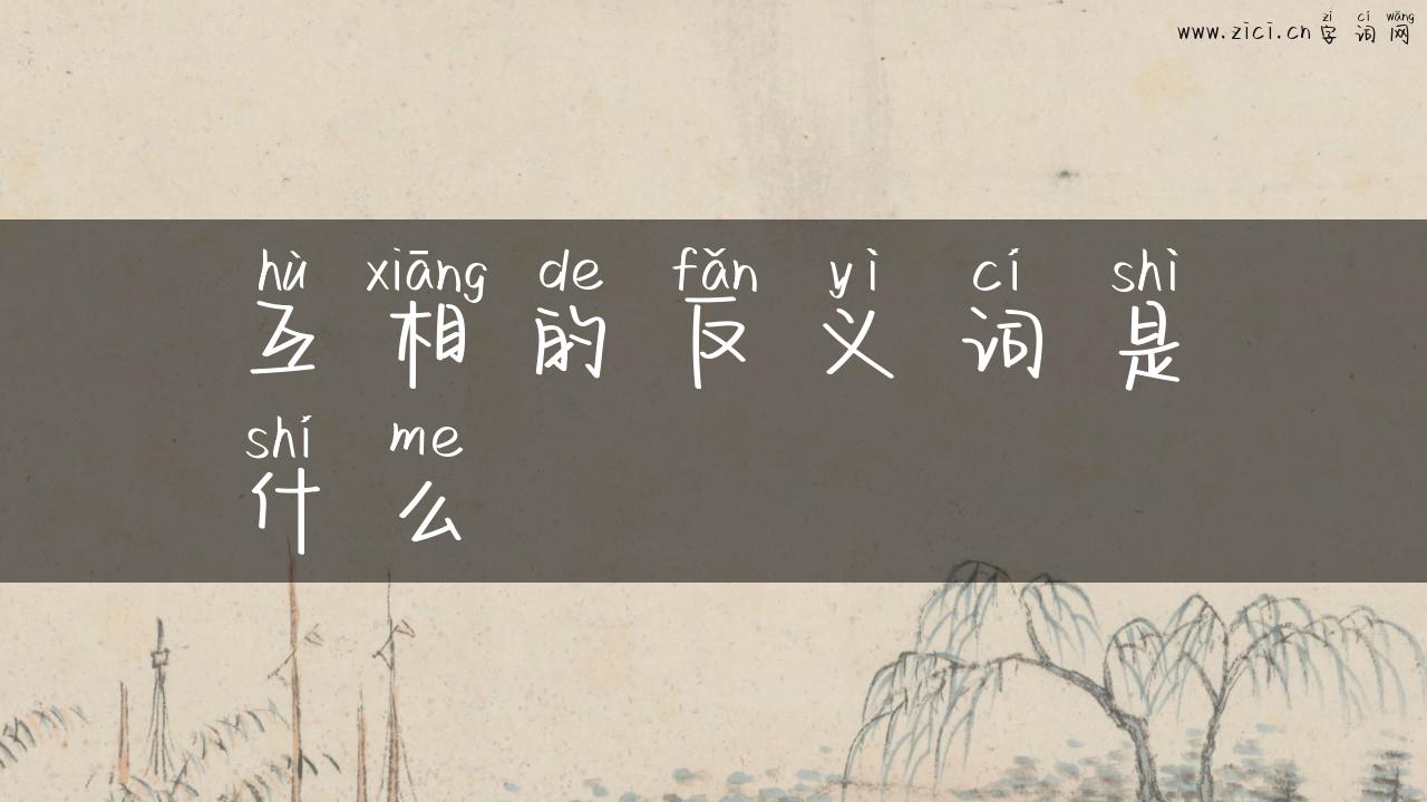 互相的反义词是什么