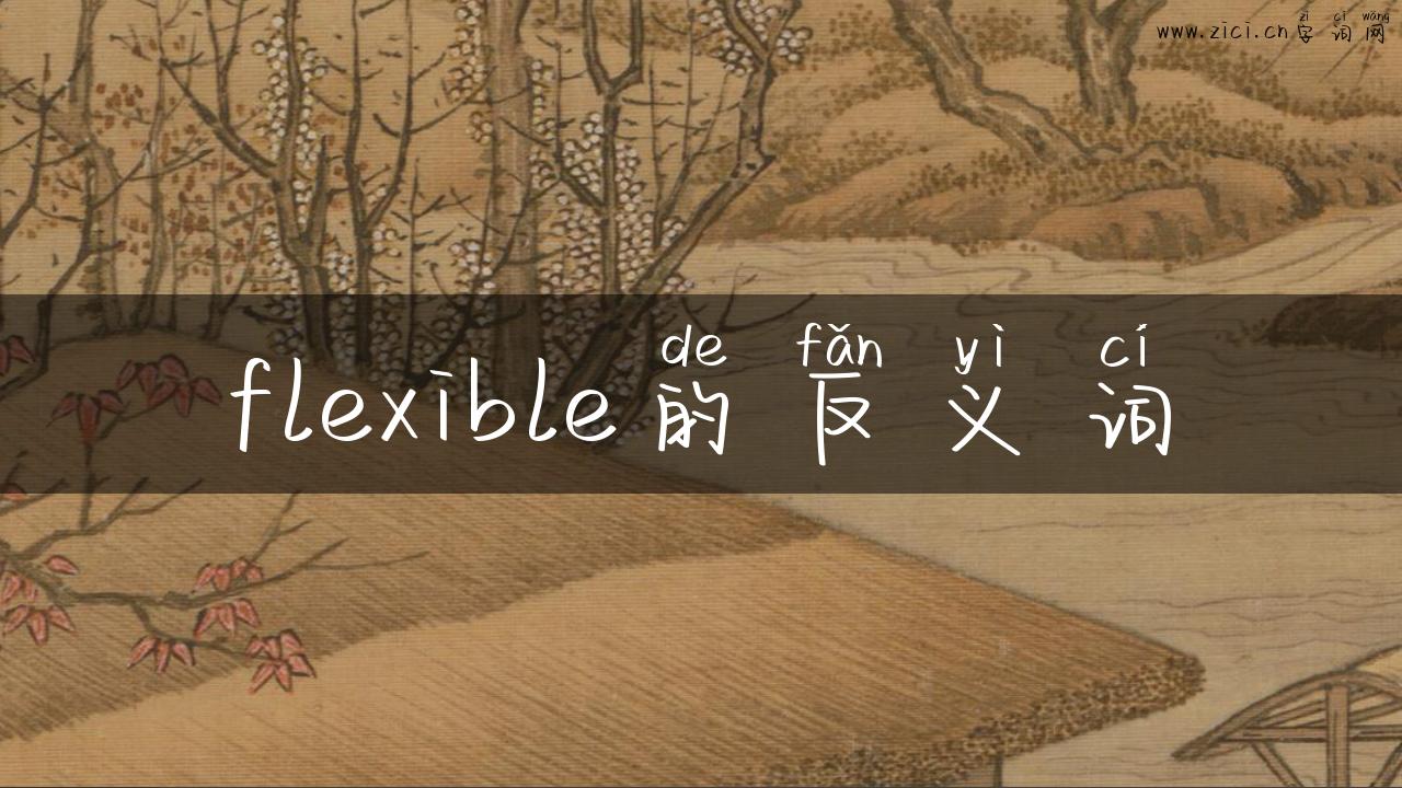 flexible的反义词
