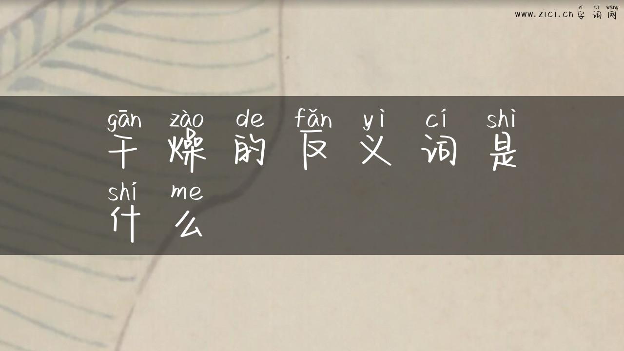 干燥的反义词是什么
