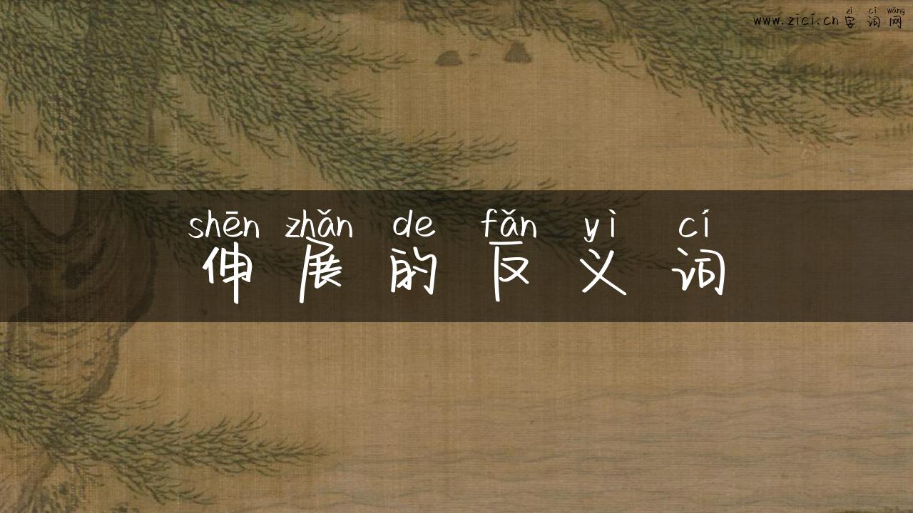 伸展的反义词