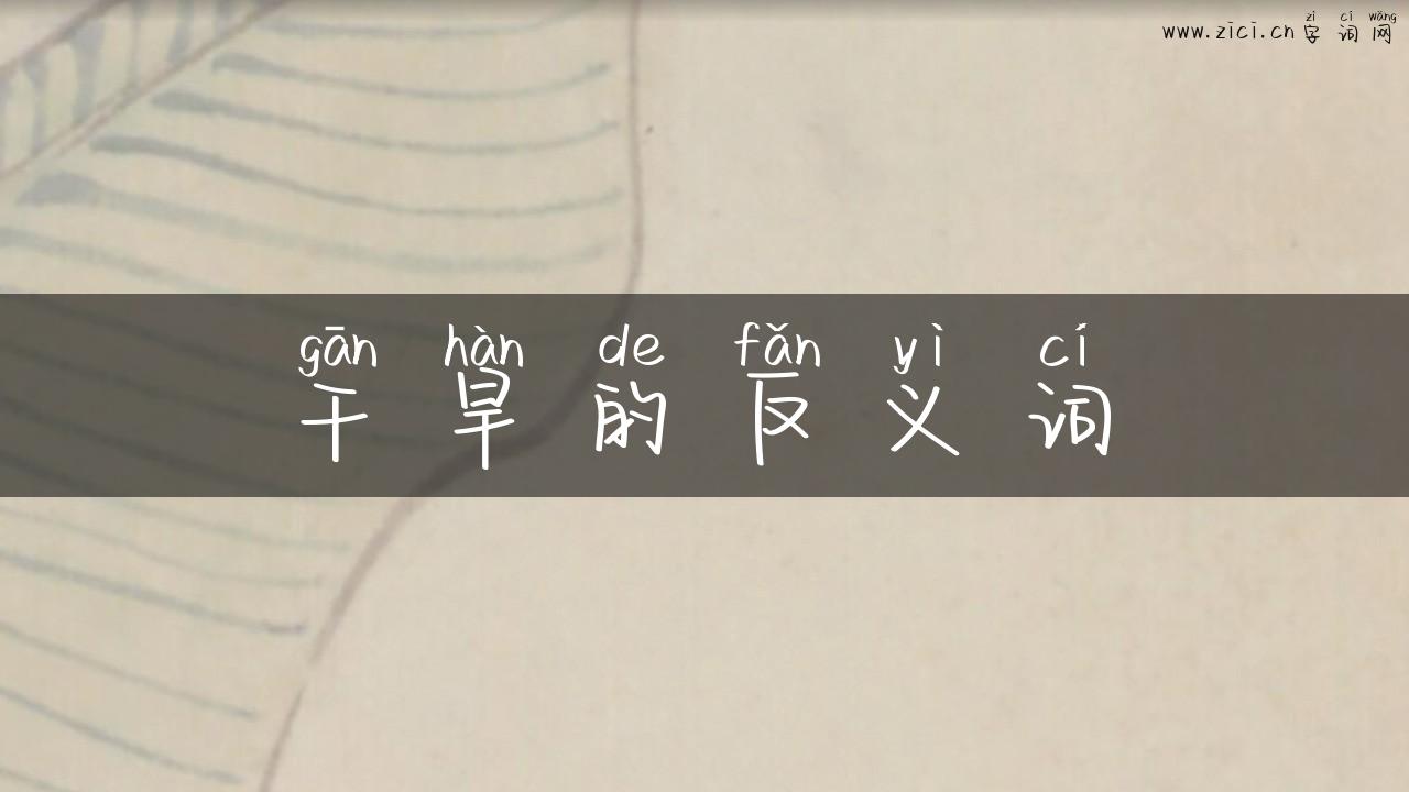 干旱的反义词