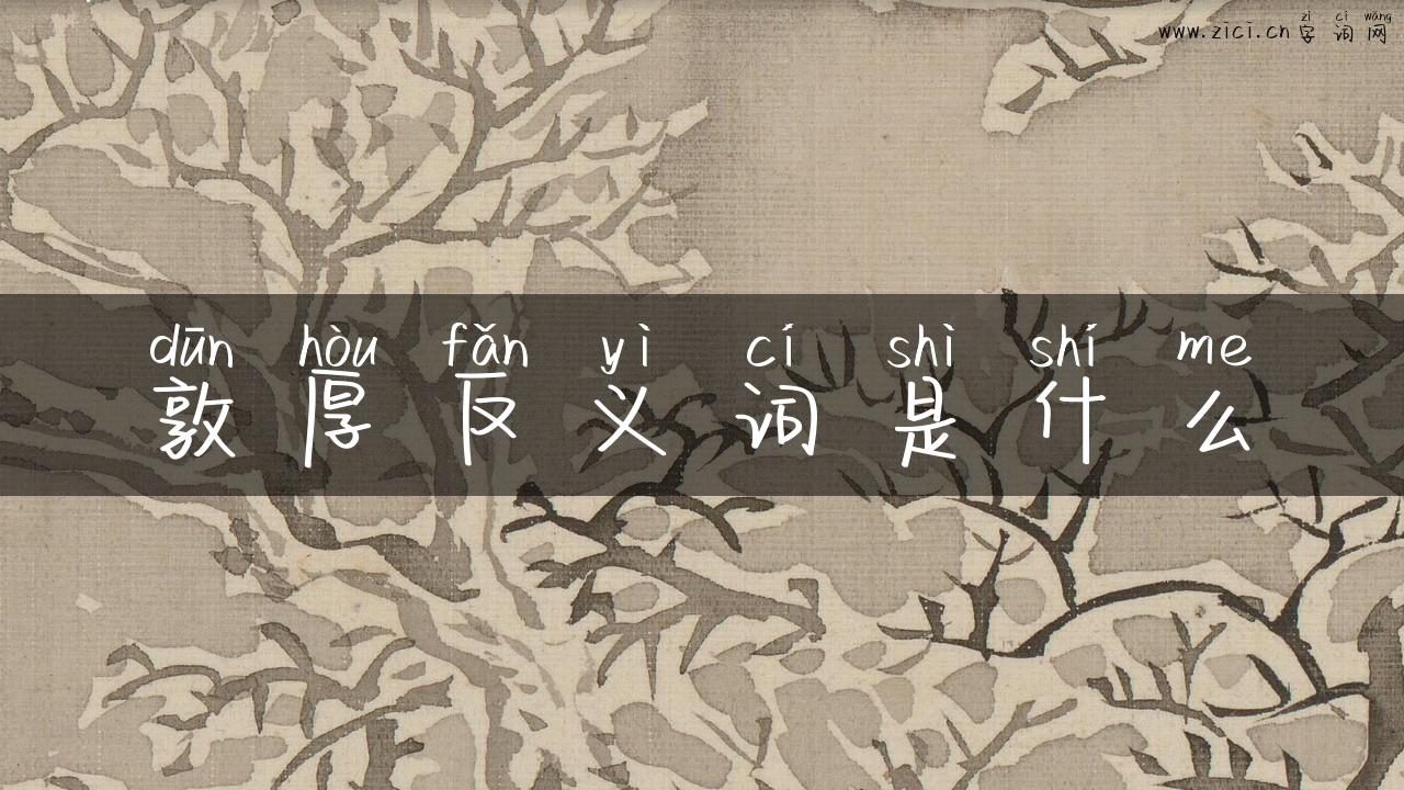 敦厚反义词是什么