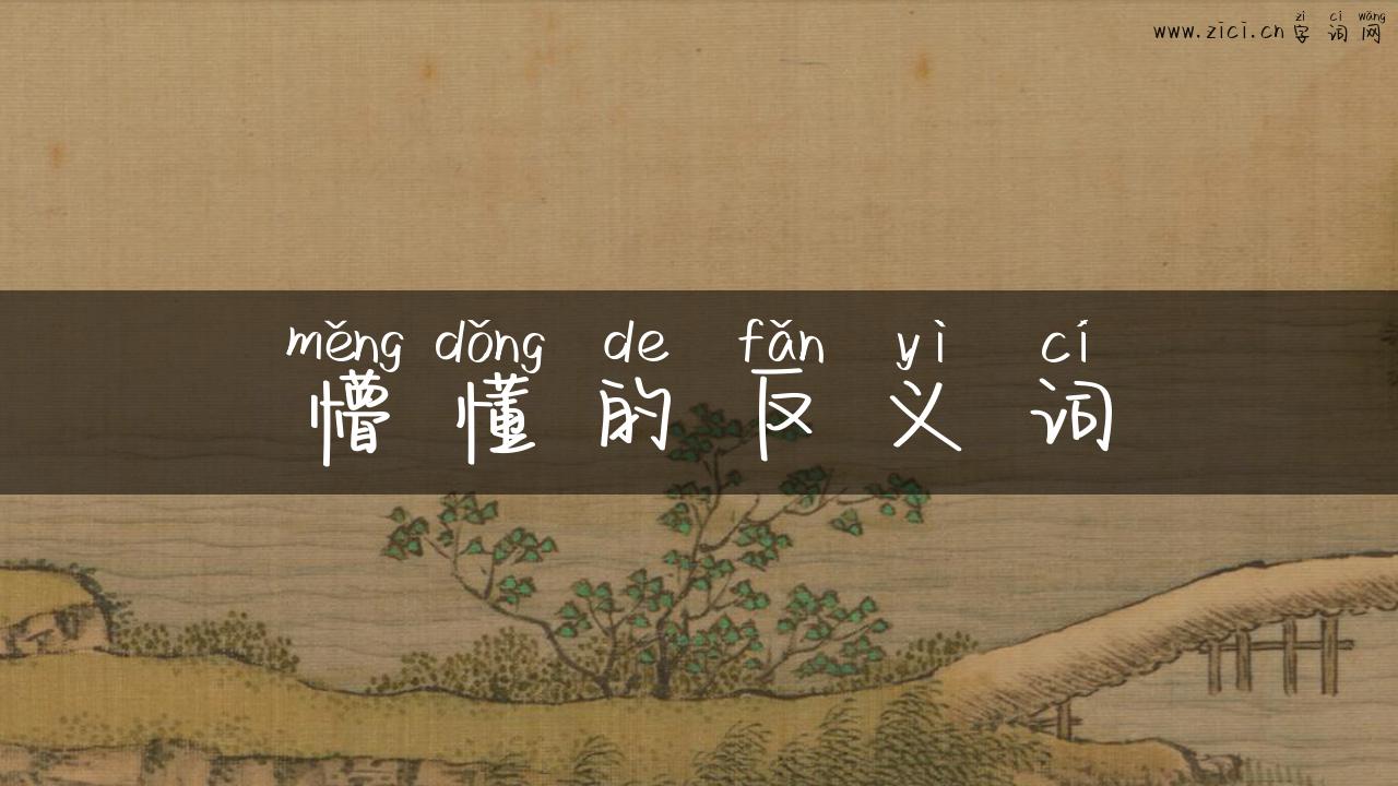 懵懂的反义词