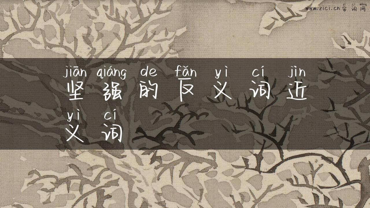 坚强的反义词近义词