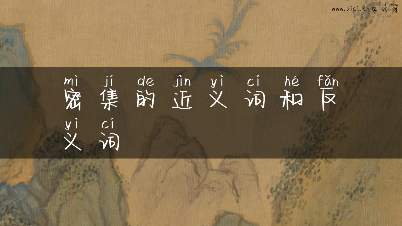 密集的近义词和反义词