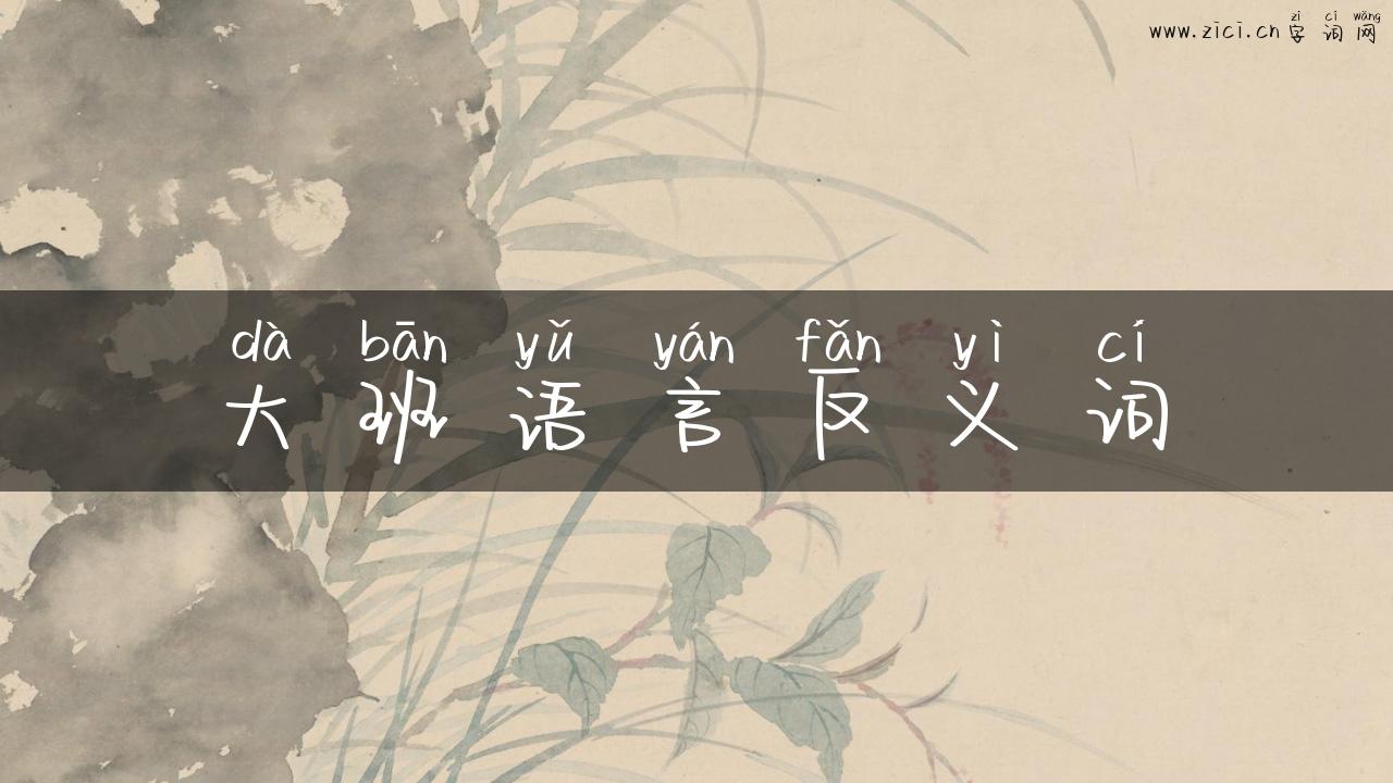 大班语言反义词
