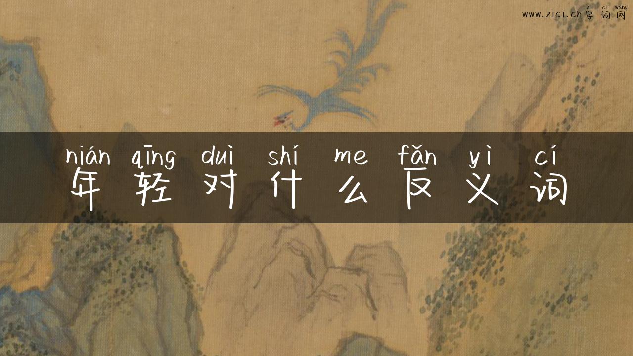 年轻对什么反义词
