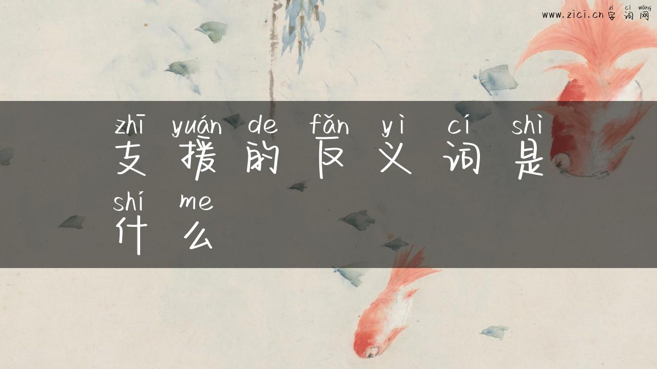 支援的反义词是什么