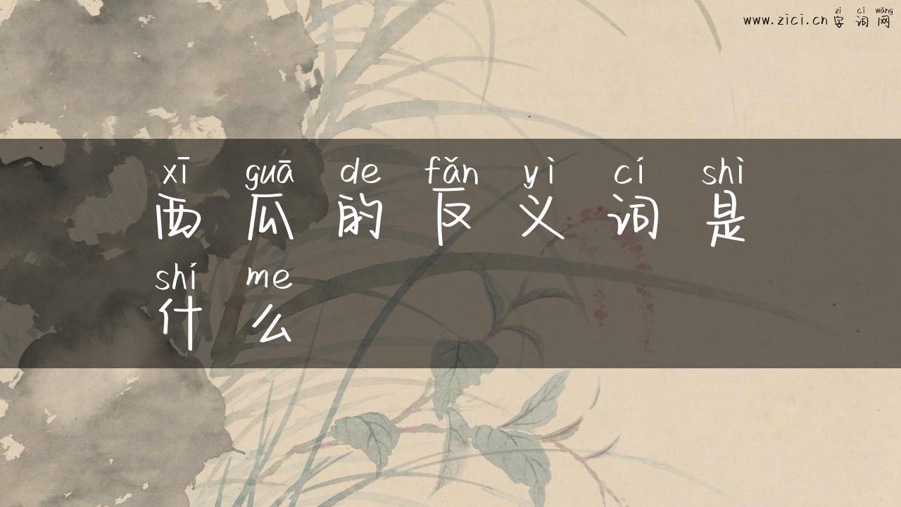 西瓜的反义词是什么