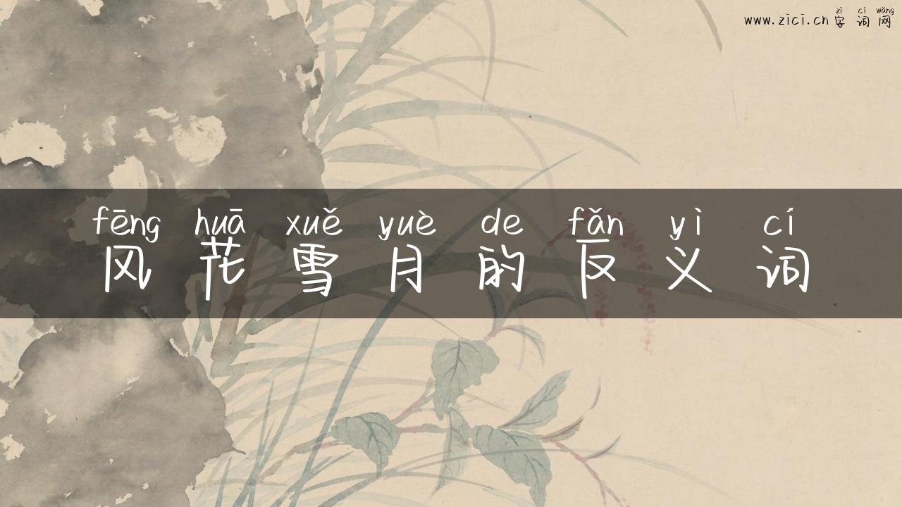 风花雪月的反义词