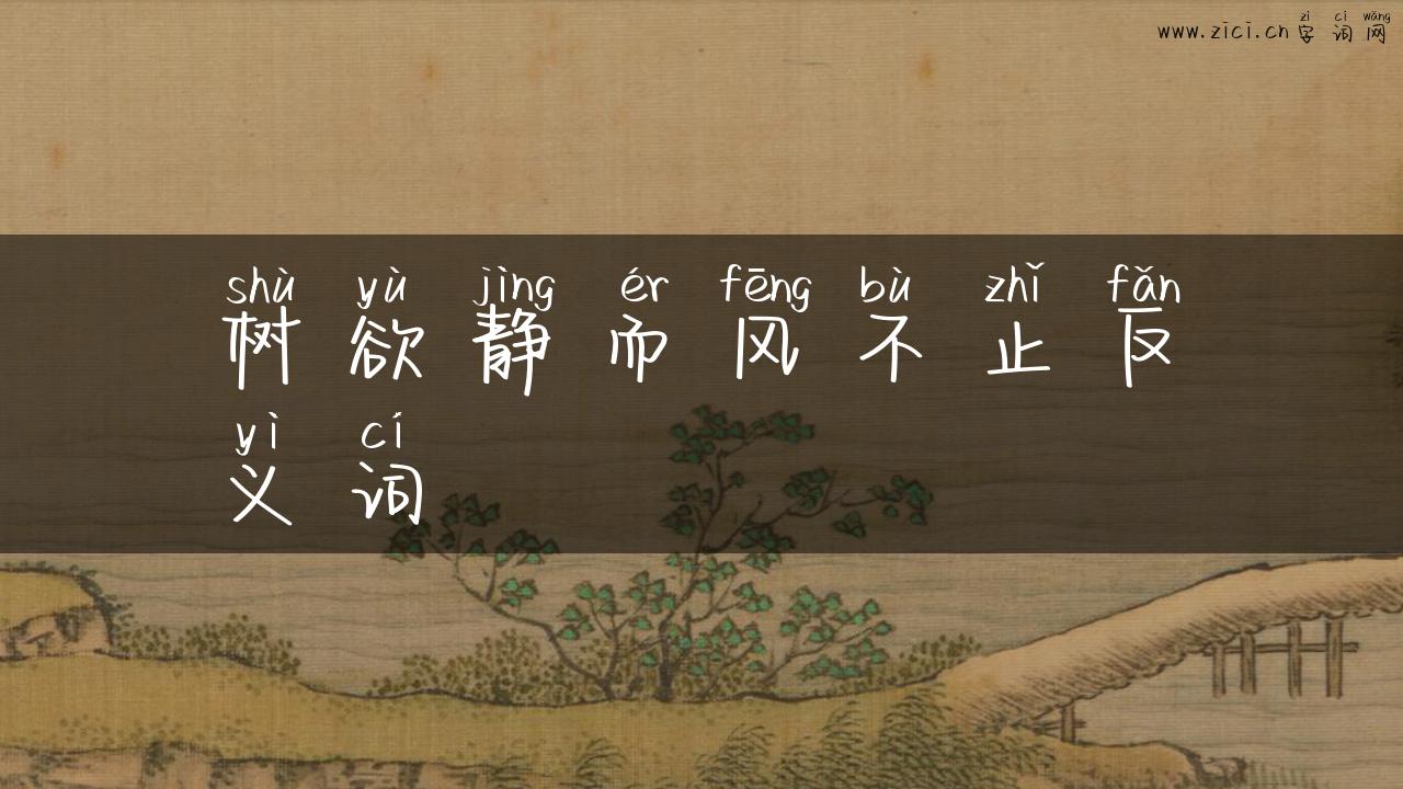 树欲静而风不止反义词