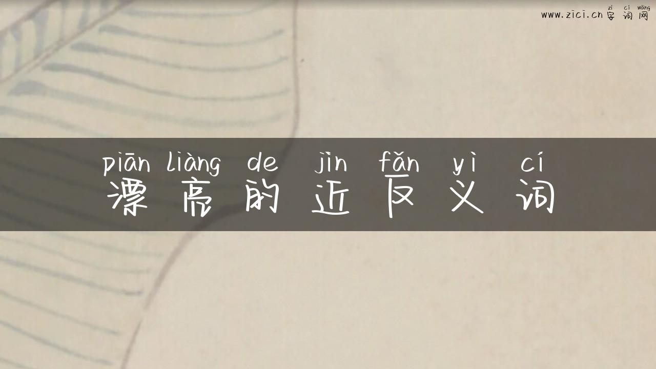 漂亮的近反义词