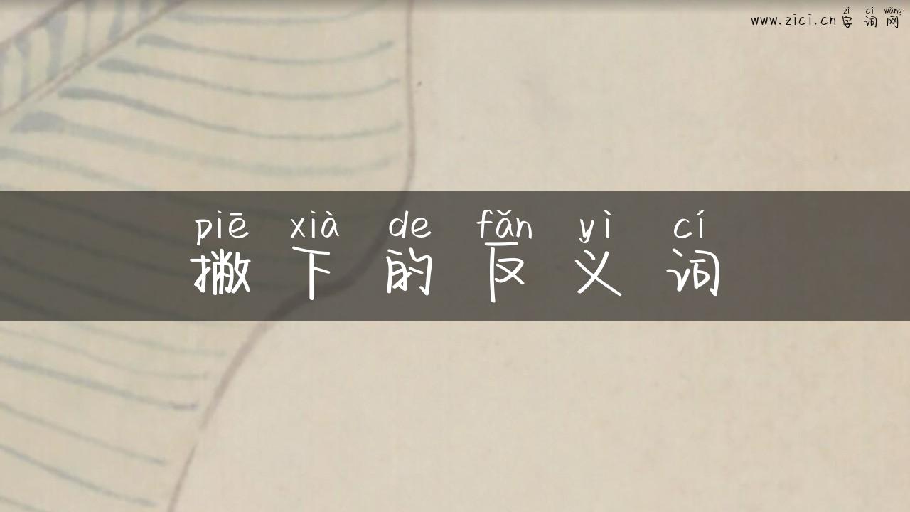 撇下的反义词