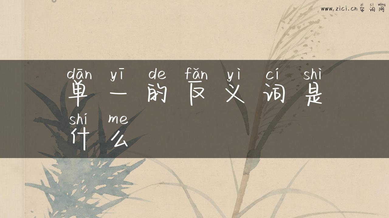 单一的反义词是什么