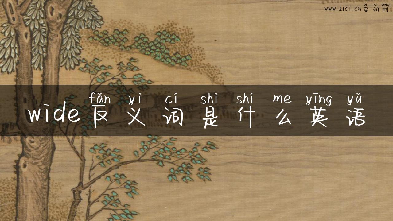 wide反义词是什么英语