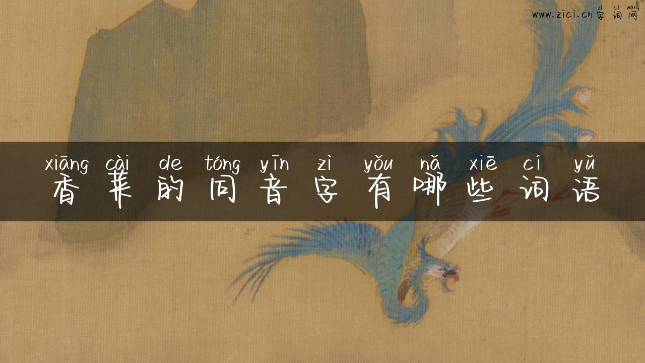 香菜的同音字有哪些词语