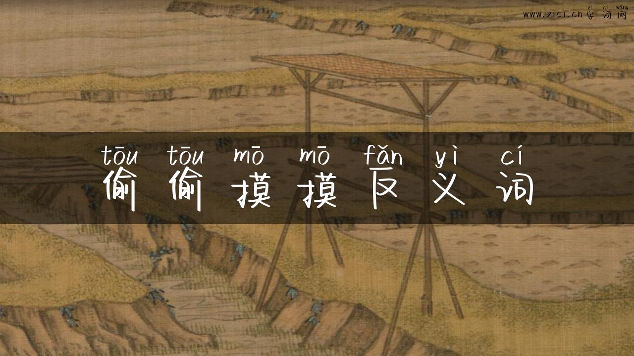 偷偷摸摸反义词