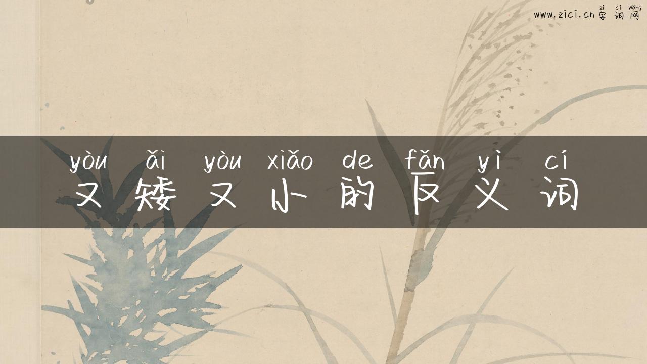 又矮又小的反义词